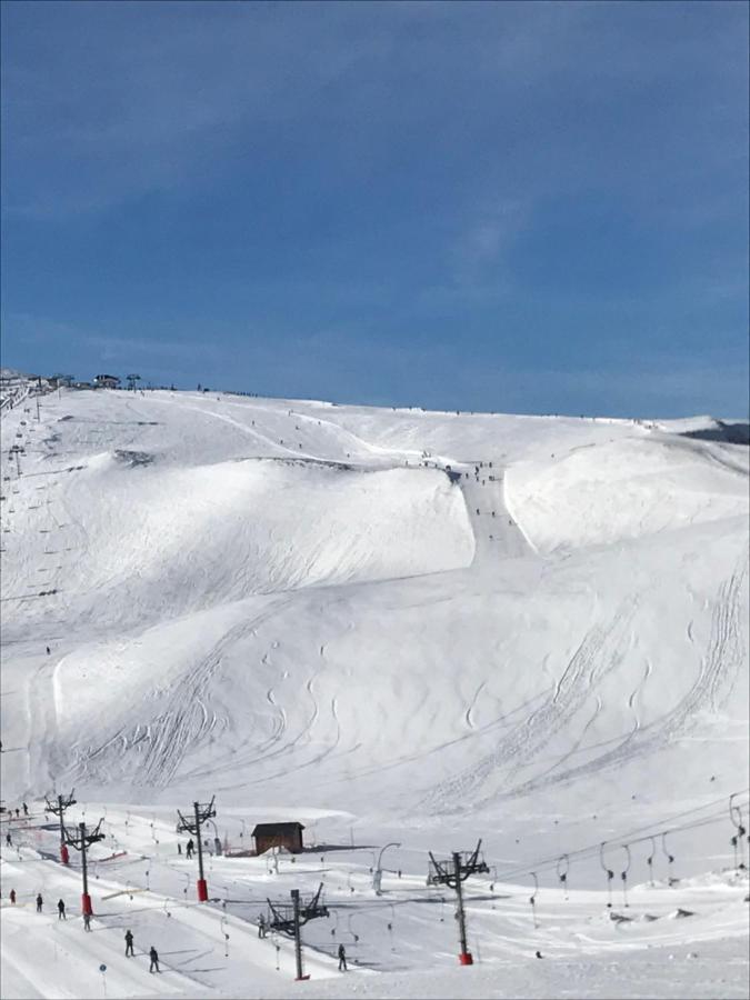 Studio Au Pied Des Pistes 4 Pers, Alpes ル・コルビエ エクステリア 写真